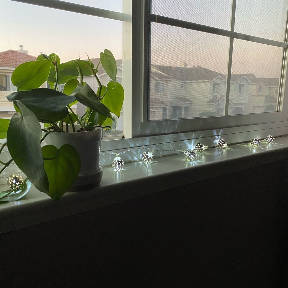 String of lights